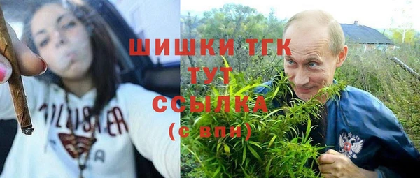 гидра Сосновый Бор