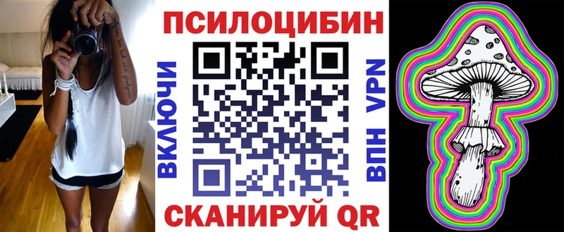 Псилоцибиновые грибы Psilocybe  Конаково 