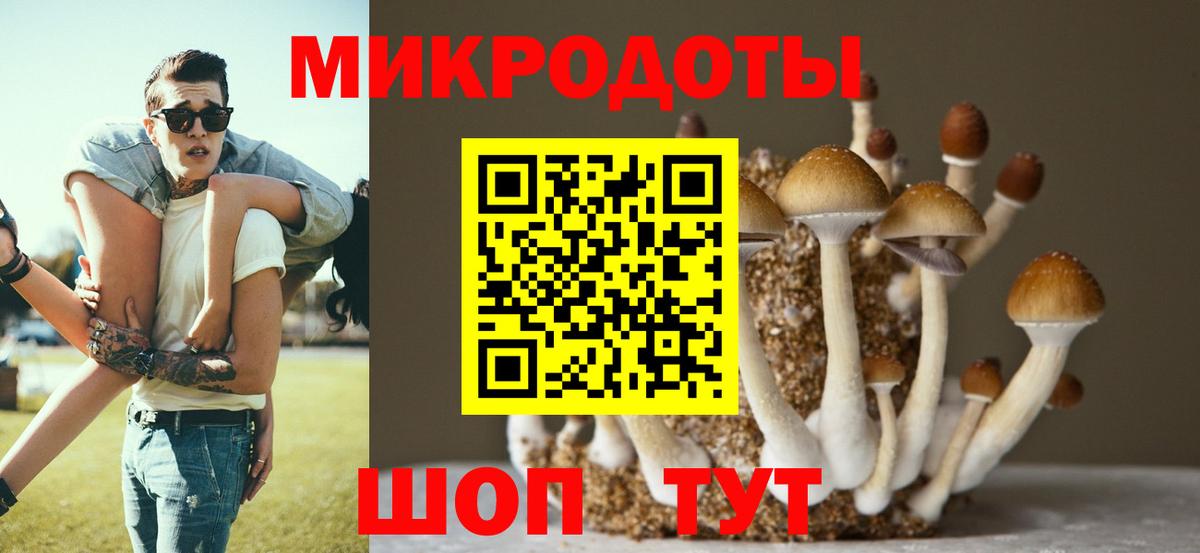 Псилоцибиновые грибы Cubensis Конаково